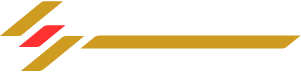 Savage Web Solutions logo