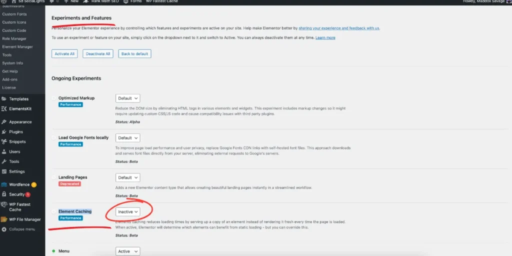 Elementor FAQ Schema fix – Elementor dashboard showing Element Caching set to inactive to resolve missing field 'text' error.